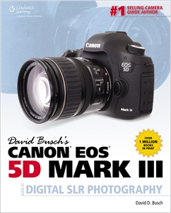David Busch's Canon EOS 5D Mark III Guide to Digital SLR Photography cover image - David Busch's Canon EOS 5D Mark III Guide to Digital SLR Photography